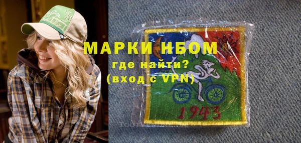 хмурый Арсеньев