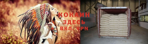 хмурый Арсеньев