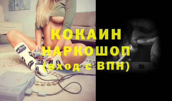 гашик Аркадак