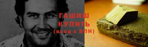 хмурый Арсеньев