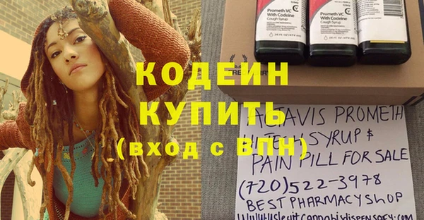 хмурый Арсеньев