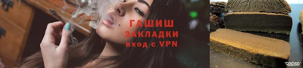 гашик Аркадак