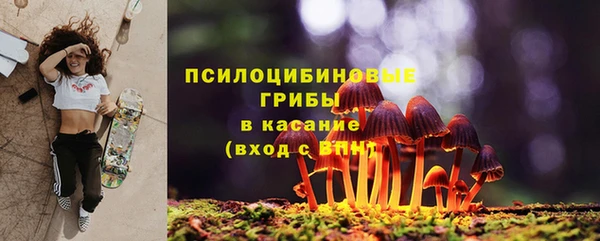 гашик Аркадак