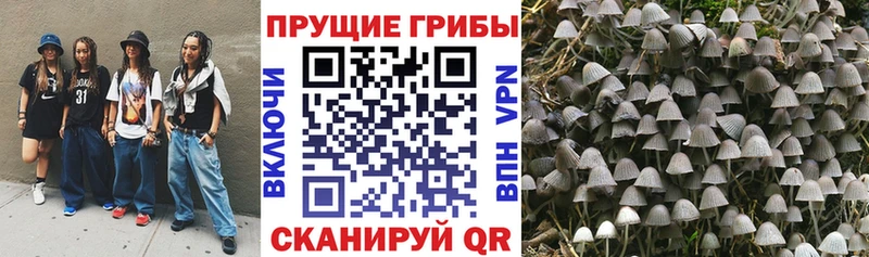 даркнет сайт  Бабаево  OMG как зайти  Псилоцибиновые грибы Magic Shrooms 