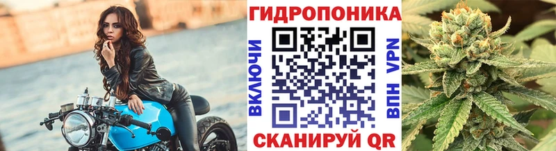 Канабис Amnesia  Бабаево 